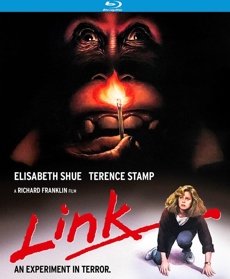 Link (Kino) (Blu-Ray)